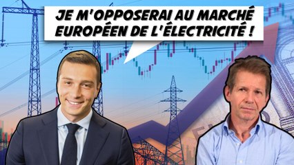 Il faut réformer le marché européen de l'électricité (Jancovici, Bernier)