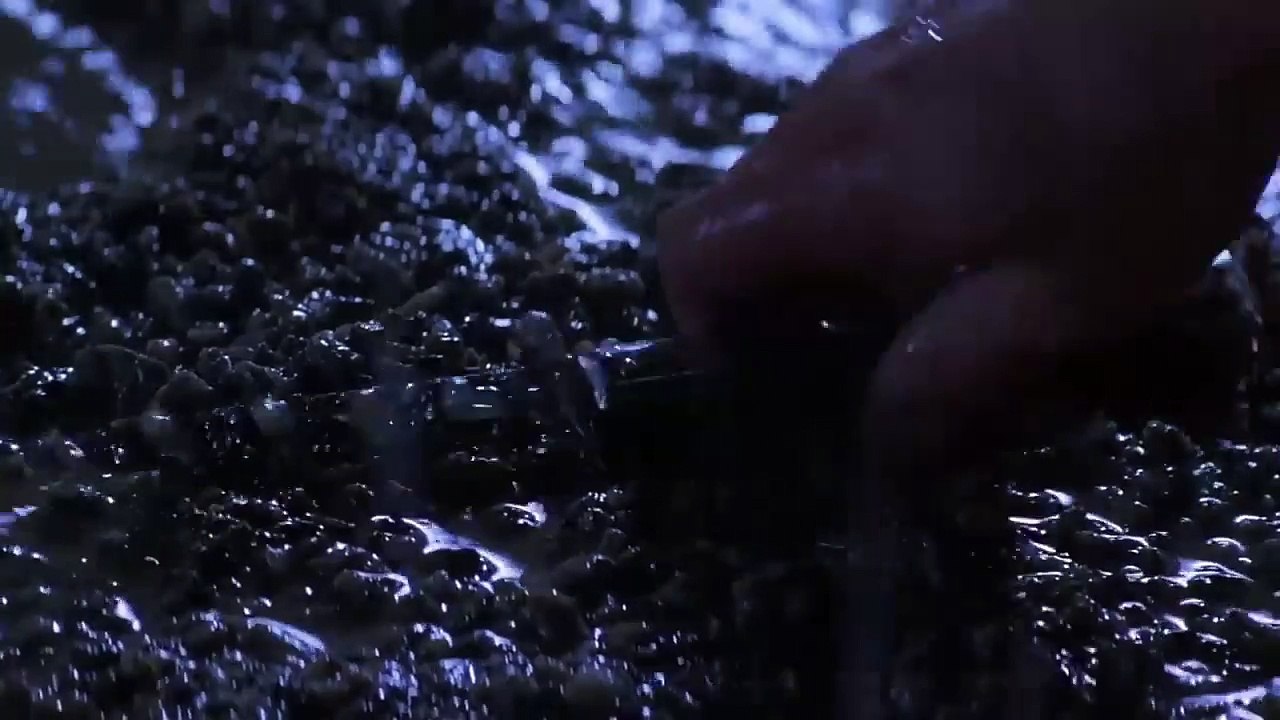 A 5