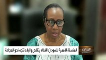 المنسقة الأممية لـ #السودان لـ #العربية: الغذاء يتقلص والبلاد تتجه نحو المجاعة