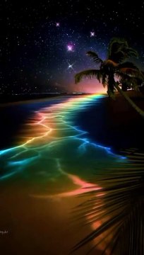 beautiful scenery in the evening atmosphere