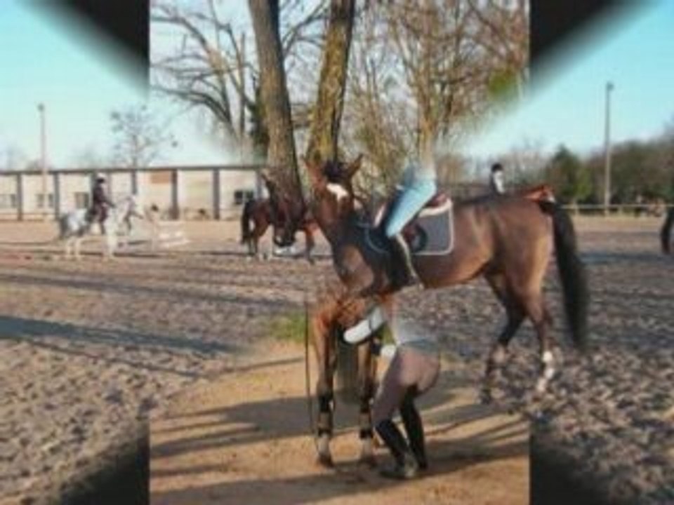 Pauline et cériboy et liberty_0001