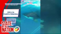 ICYMI | Orca sa Puerto Princesa; Nauubos na Boracay Bats; Atbp. | SONA