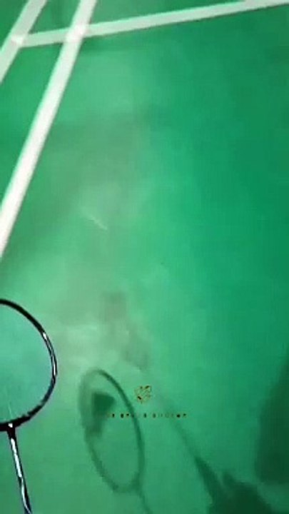 Amazing video