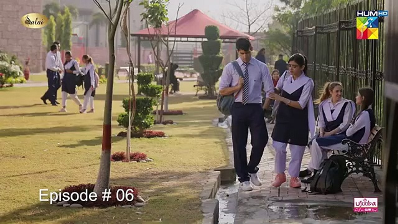 Jafaa - Ep 06 - [CC] 28th June 2024 - Sponsored By Salai, Masterpaints & Ujooba Beauty Cream, HUM TV