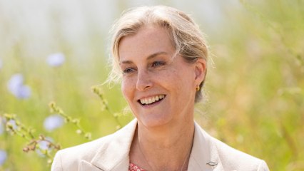 GALA VIDEO - Sophie d’Edimbourg : pourquoi a t-elle raté le banquet d’État ?