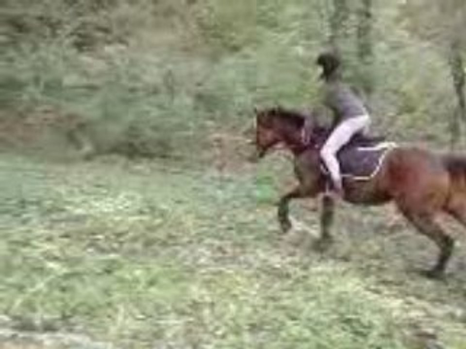 Sarah & Oregon (saut)