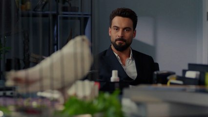 جميع الحلقات من مسلسل العريس الرائع الموسم 10 | Şahane Damat