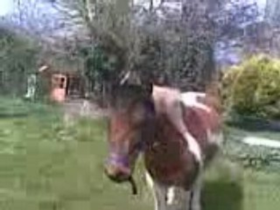 Vidéo008