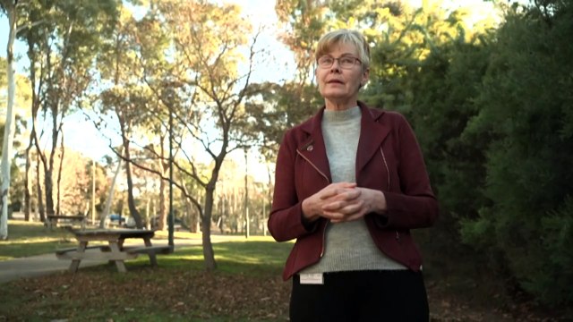 Canberra Institute of Technology explores legal options follow former CEO corruption