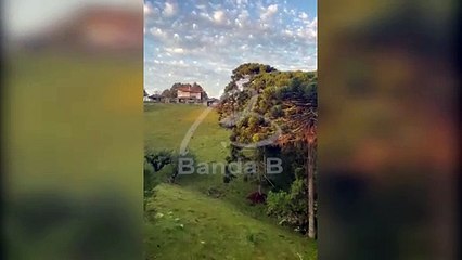 Empresária descreve experiência agonizante com voo de balão na Grande Curitiba; empresa fala em 'incidente'