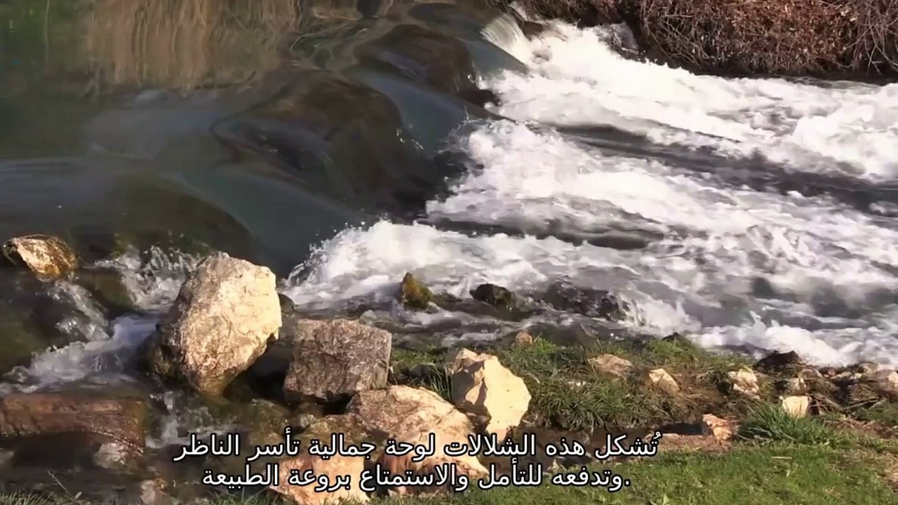 The most beautiful recitations