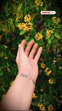 ¡7 mitos sobre la donación de sangre!, estas son las respuestas a las dudas más frecuentes, según expertos