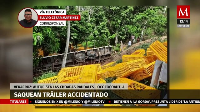 Habitantes de Veracruz saquen tráiler que transportaba pollos vivos