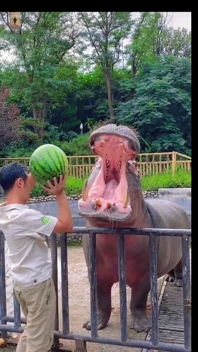 funny