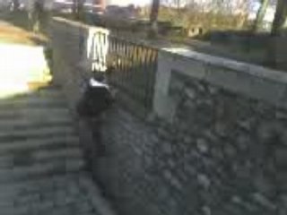 antonin en ville mdr