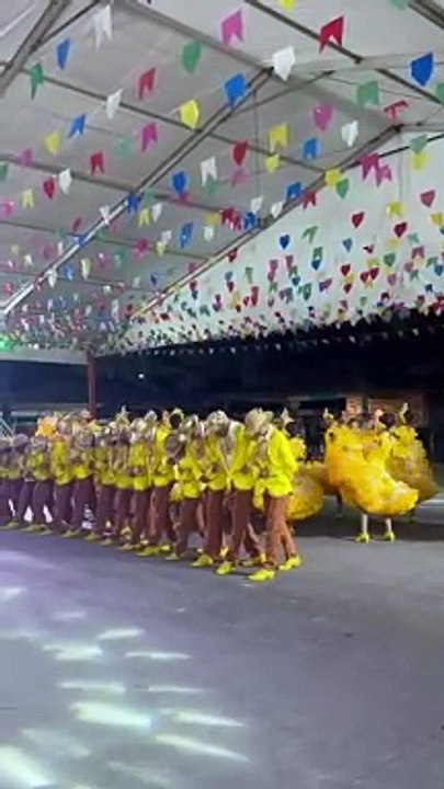 Arraiá BNews: Quadrilha junina Fole Danado leva animação e sincronia para o São João da Bahia