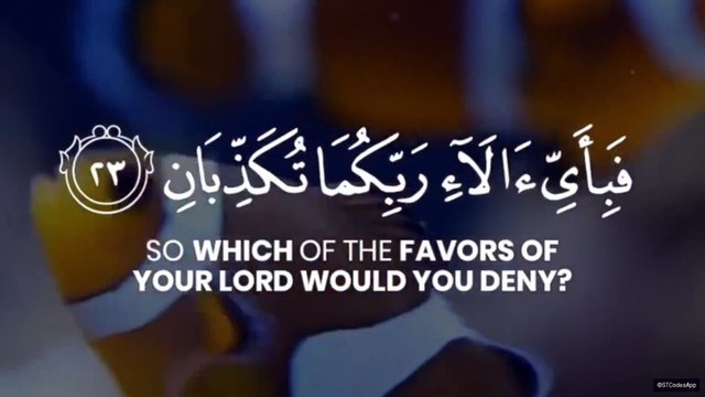 Heart Soothing Recitation of Surah Ar-Rahman with English Translation by Samir Ezzat