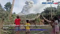 Kembali Erupsi, Gunung Lewotobi Laki-Laki Luncurkan Abu Vulkanik 1.000 Meter