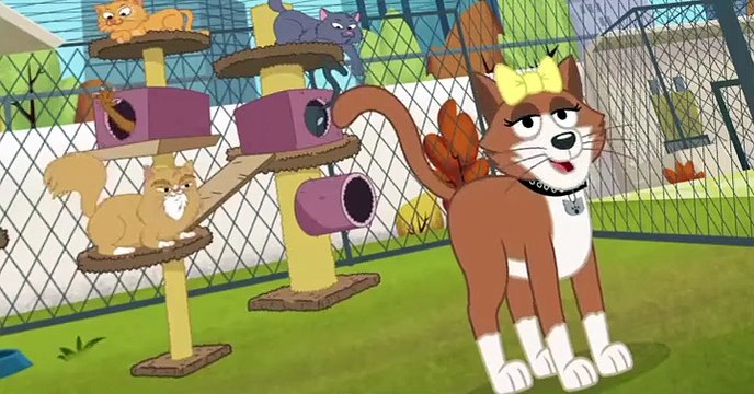 Pound Puppies 2010 Pound Puppies 2010 S01 E024 Kennel Kittens Return