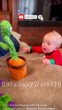 Cute Babies Playing with Dancing Cactus (Hilarious)Cute Baby Funny Videos-(720p)
