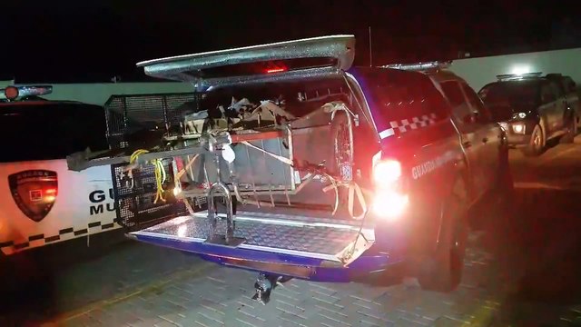 Casal suspeito de furtar empresa no bairro Universitário é detido pela GM