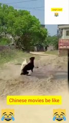 #FUNNYVIDEO#FUNNYMOMENTS#LAUGH#FUNNY#COMEDY