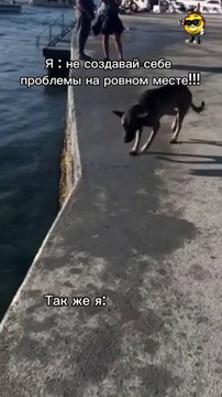 Funny Fails  - #funny #funnyfails #funnyvideo #humor #humour #humormemes #memes #memesvideo #fails