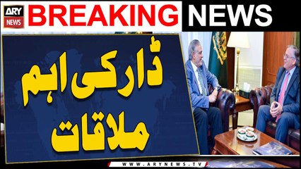 Deputy PM Dar, US Ambassador review developments in bilateral ties