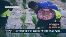 Presiden Jokowi Lakukan Kunjungan Kerja ke Kalimantan Tengah