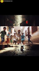 Cute Funny cat adventure time