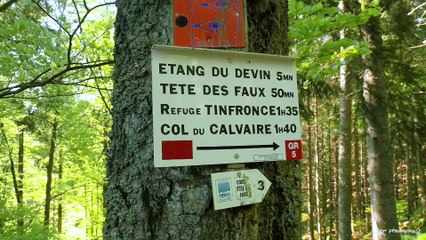 Mon GR Préféré - GR® 5 Massif des Vosges