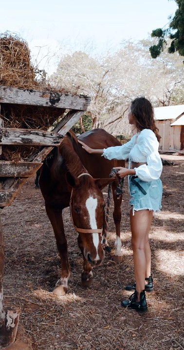 #animal #animals #nature #pet #cute #wildlife #love #dog #pets #photography #cat #cats