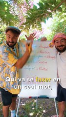 LES 5 MEILLEURES CONTRACTIONS MARSEILLAISES