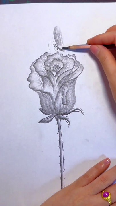 Amazing  pencil drawing, beautiful pencil art #draw #pencildrawing #art #shorts #reel #artstudiolsy