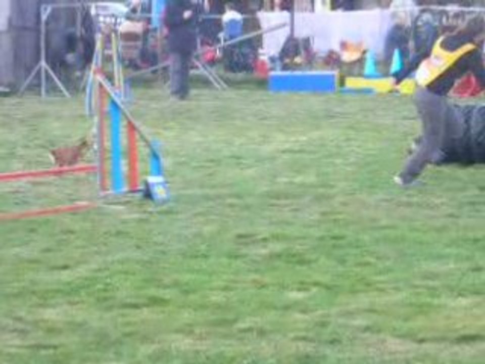 jumping Malvalette Babe Ylonne