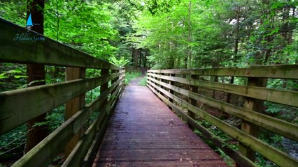 Mississippi Tourist Attractions 2024 | 7 Best Places to visit in Mississippi | Hidden Gems