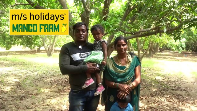 Mango Farmland for Sale | Client Feedback in Mango Farmland - M/S Holidays Mango Farm