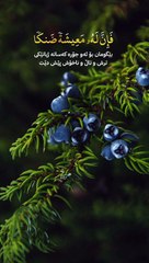 وَمَنْ أَعْرَضَ عَن ذِكْرِي