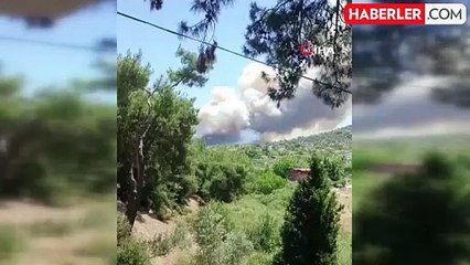 Menderes'te orman yangını: Havadan ve karadan müdahale ediliyor