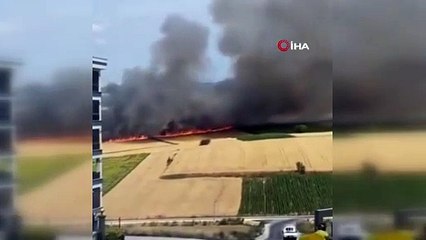 80 dönüm alan küle döndü