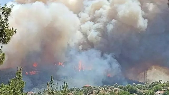İzmir’in Menderes ilçesinde ormanlık alanda yangın