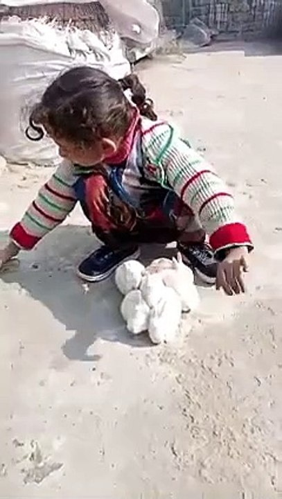 Cute baby playing with baby rabbits 
