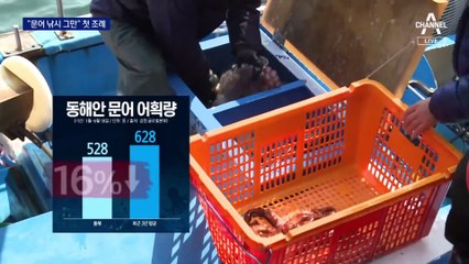 “문어낚시 금지” 조례 통과…낚시꾼 반발