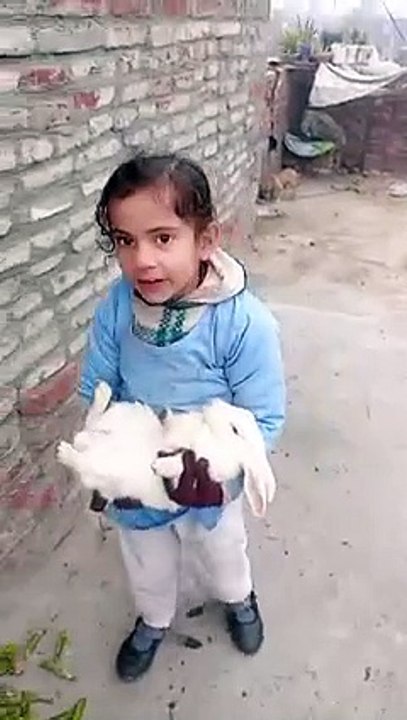 Cute baby playing with rabbit
