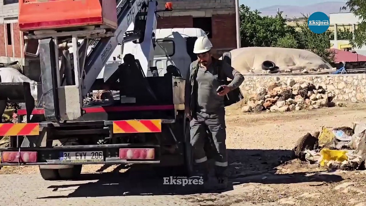 Diyarbakır'da elektrik trafosuna çarpan at öldü
