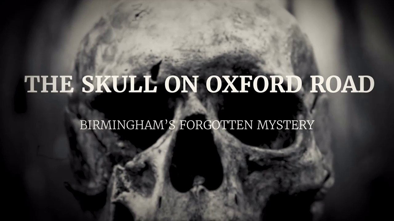Skull found in a skip - Trailer