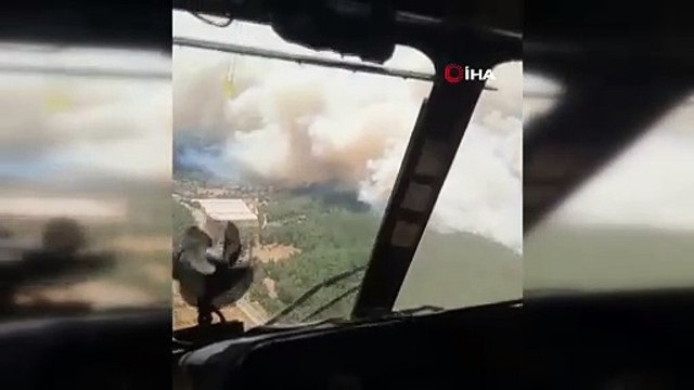 İzmir'in Menderes ilçesinde ormanlık alanda yangın!