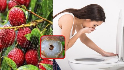 Lychee In Rainy Season: Barish Me Lychee Khane Se Kya Hota Hai, Lychee Syndrome क्या है|Boldsky