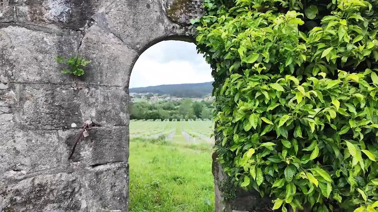 Rías Baíxas, más allá de la alvariño