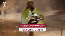 «عذب ضفدعاً بالميكروويف» إسرائيل تسجن جندياً